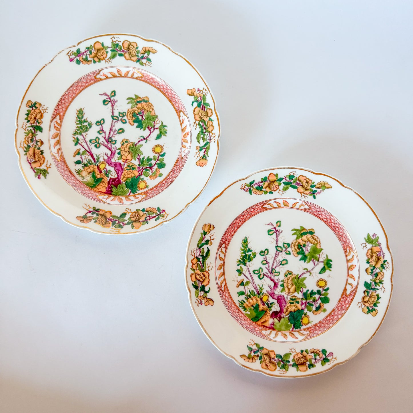 Antique Coalport Indian Tree Dinner Plates, c.1881-1890, a Pair