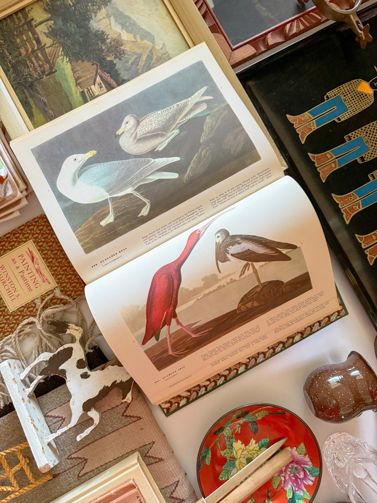 The Birds of America John James Audubon book, 1971 Edition