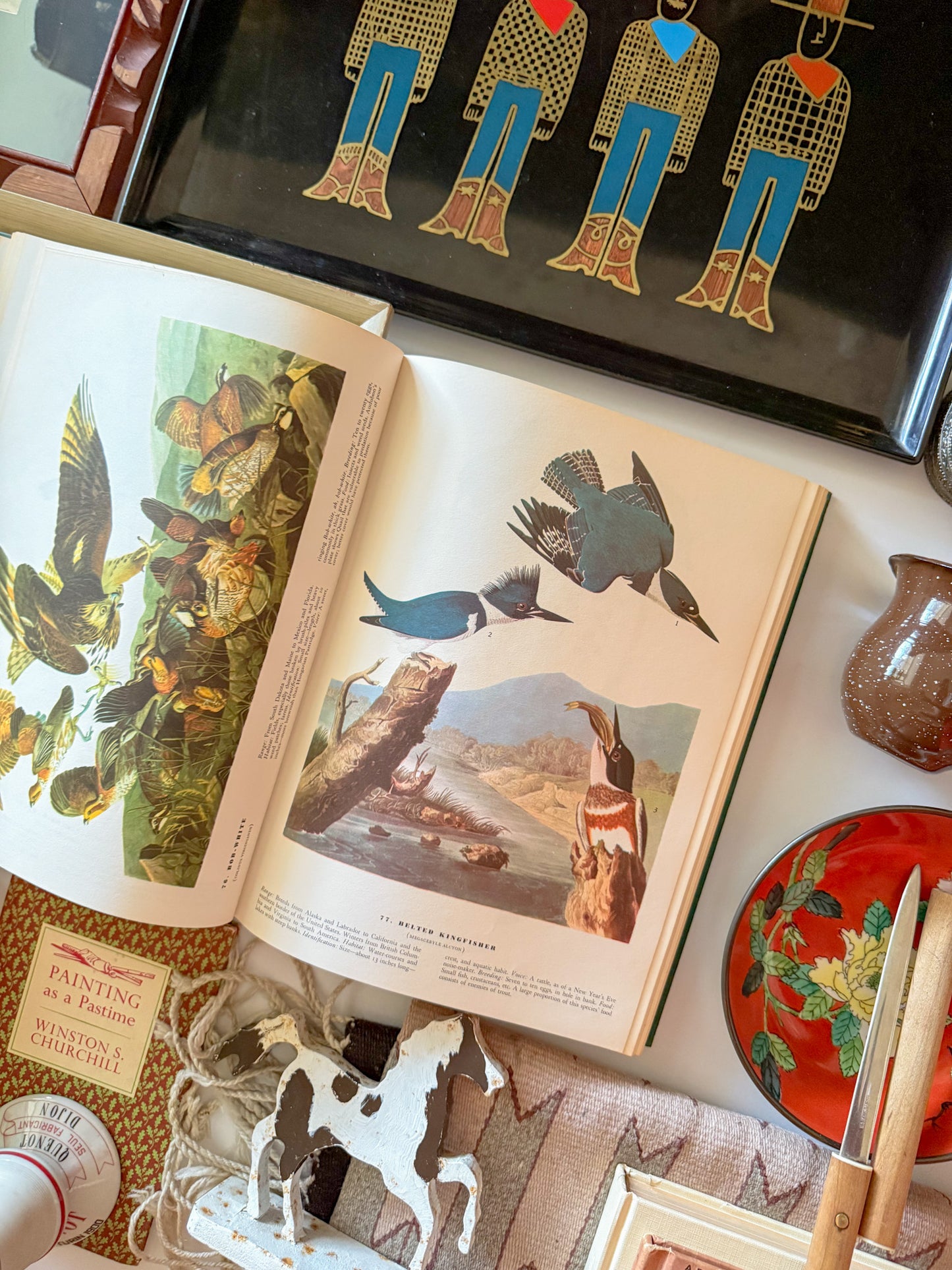 The Birds of America John James Audubon book, 1971 Edition