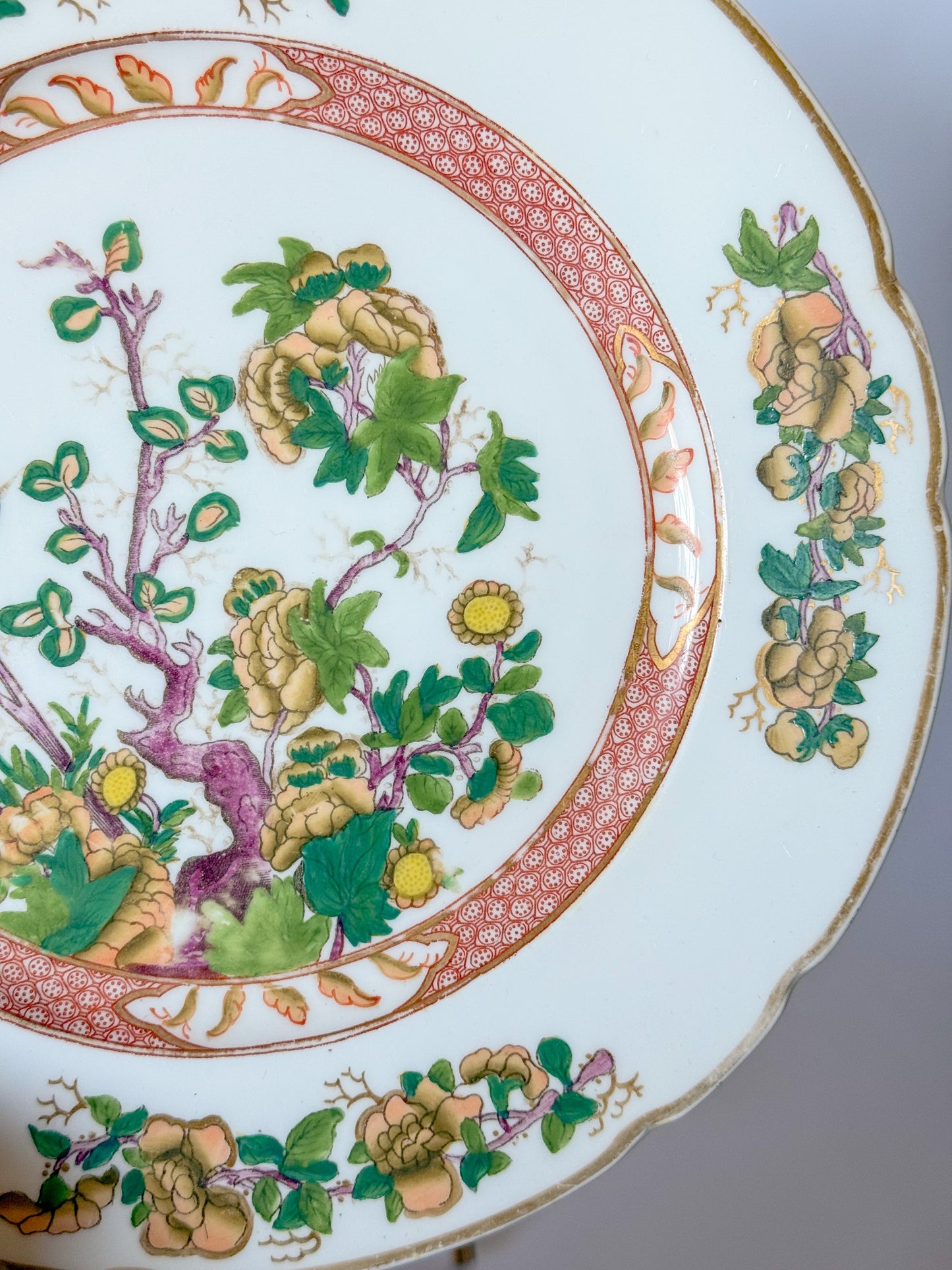 Antique Coalport Indian Tree Dinner Plates, c.1881-1890, a Pair