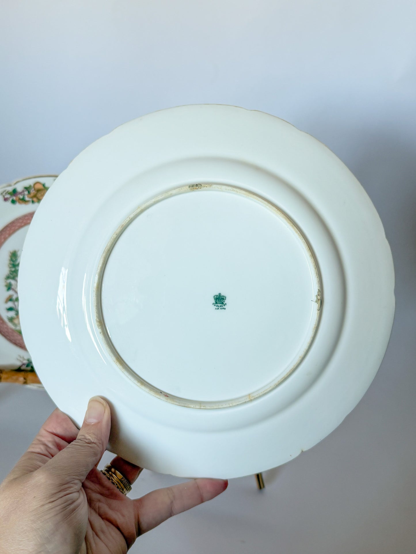 Antique Coalport Indian Tree Dinner Plates, c.1881-1890, a Pair