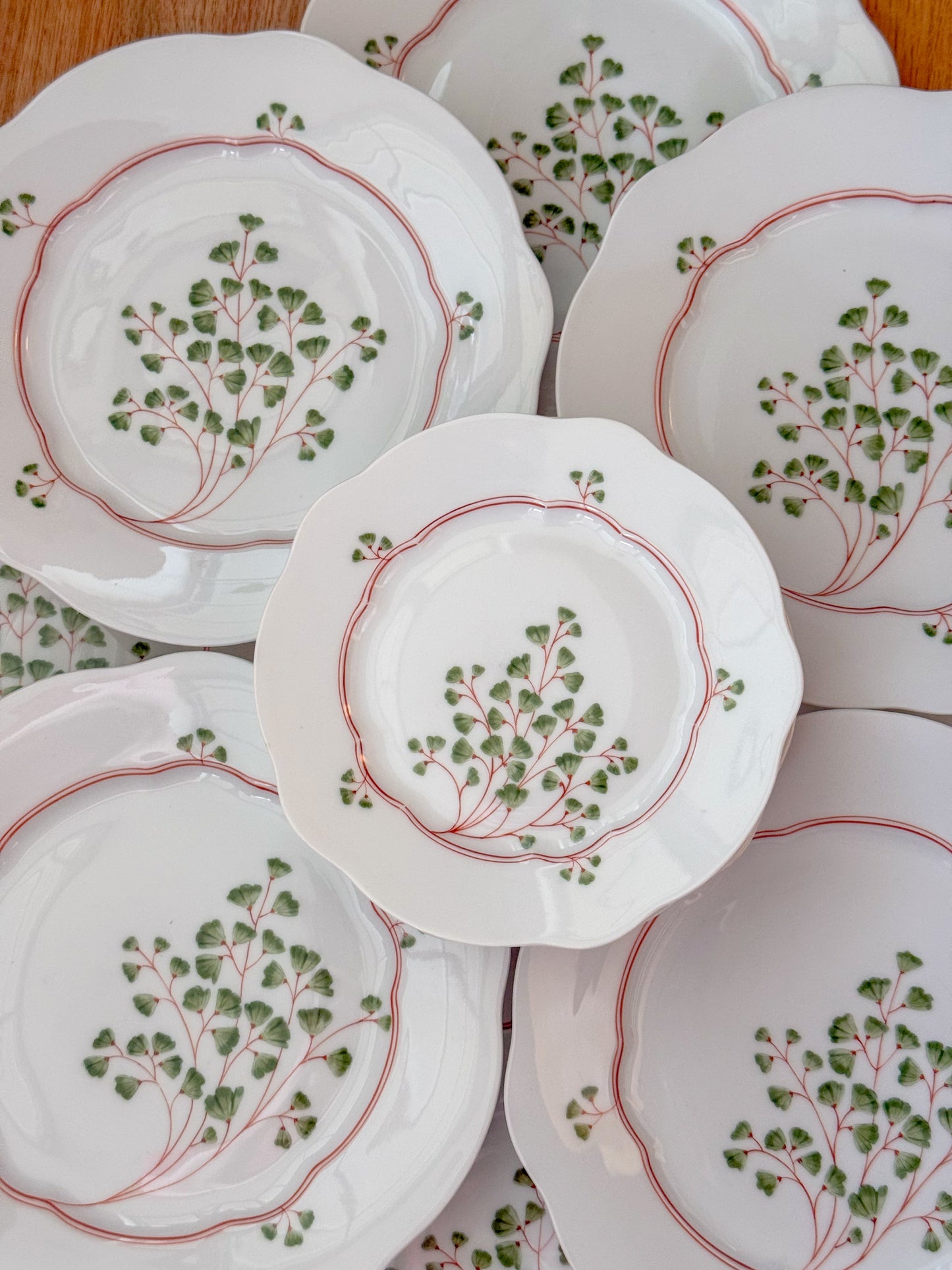 Antique Maidenhair Fern Nymphenburg Porcelain Dinnerware, Hand Painted
