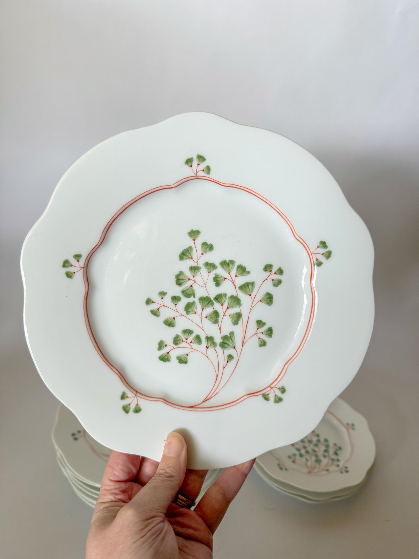 Antique Maidenhair Fern Nymphenburg Porcelain Dinnerware, Hand Painted