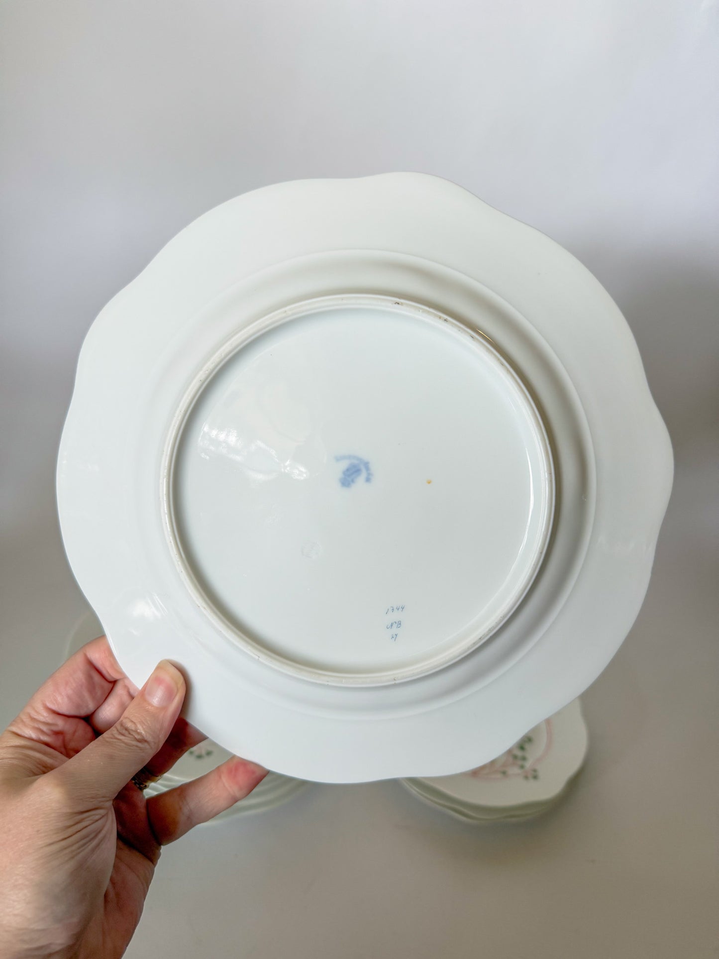 Antique Maidenhair Fern Nymphenburg Porcelain Dinnerware, Hand Painted