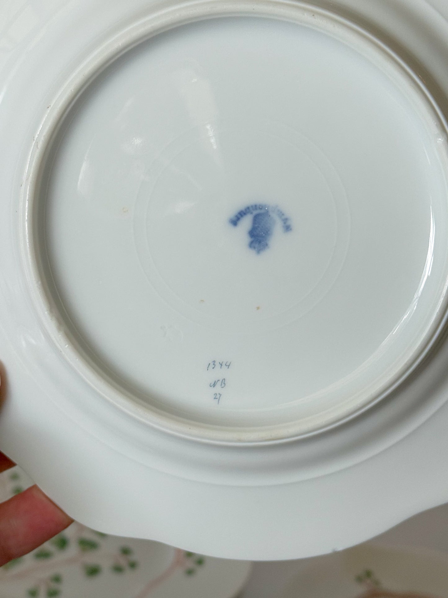 Antique Maidenhair Fern Nymphenburg Porcelain Dinnerware, Hand Painted