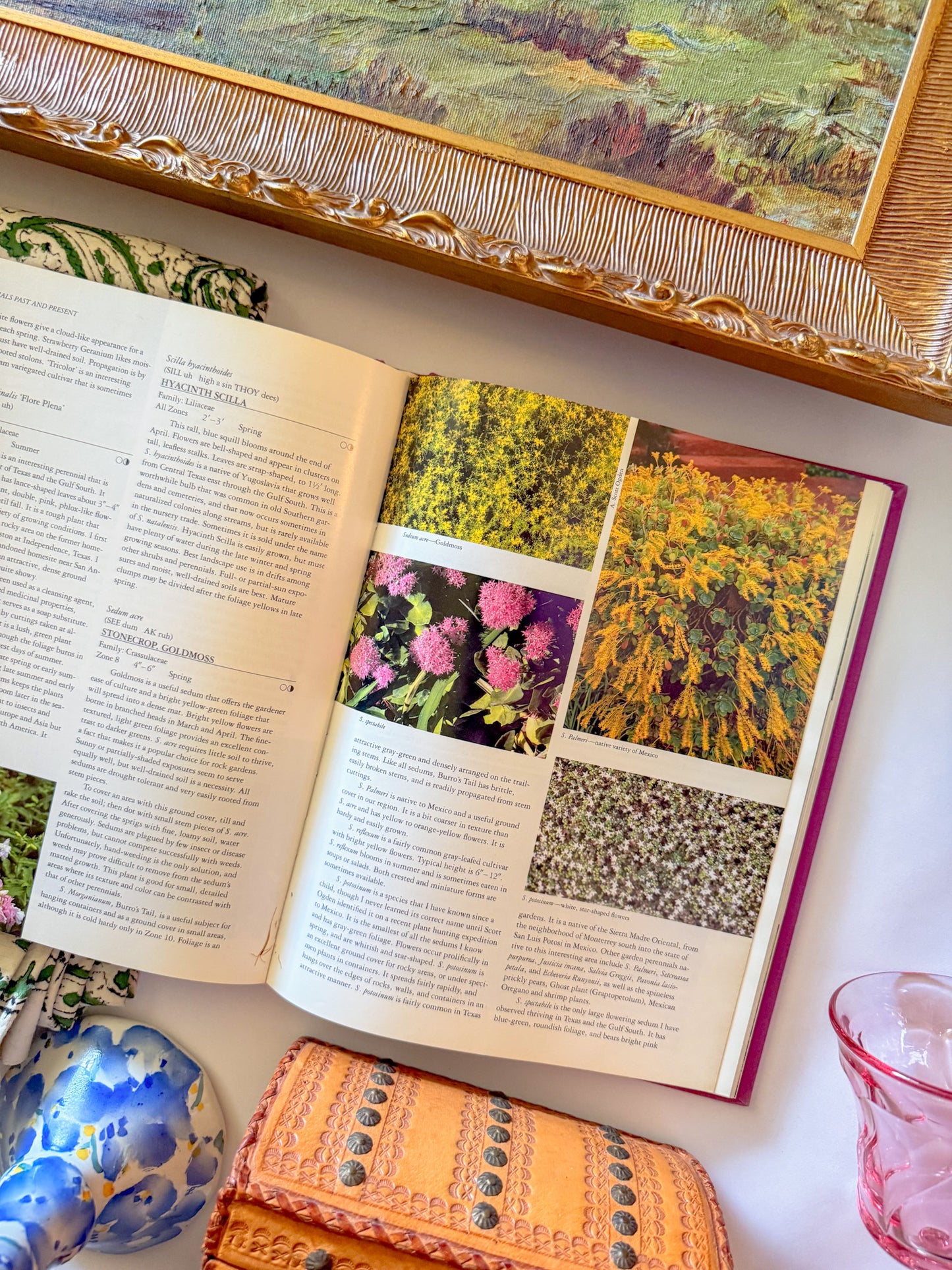 "Perennial Gardening Color" Coffee Table Book