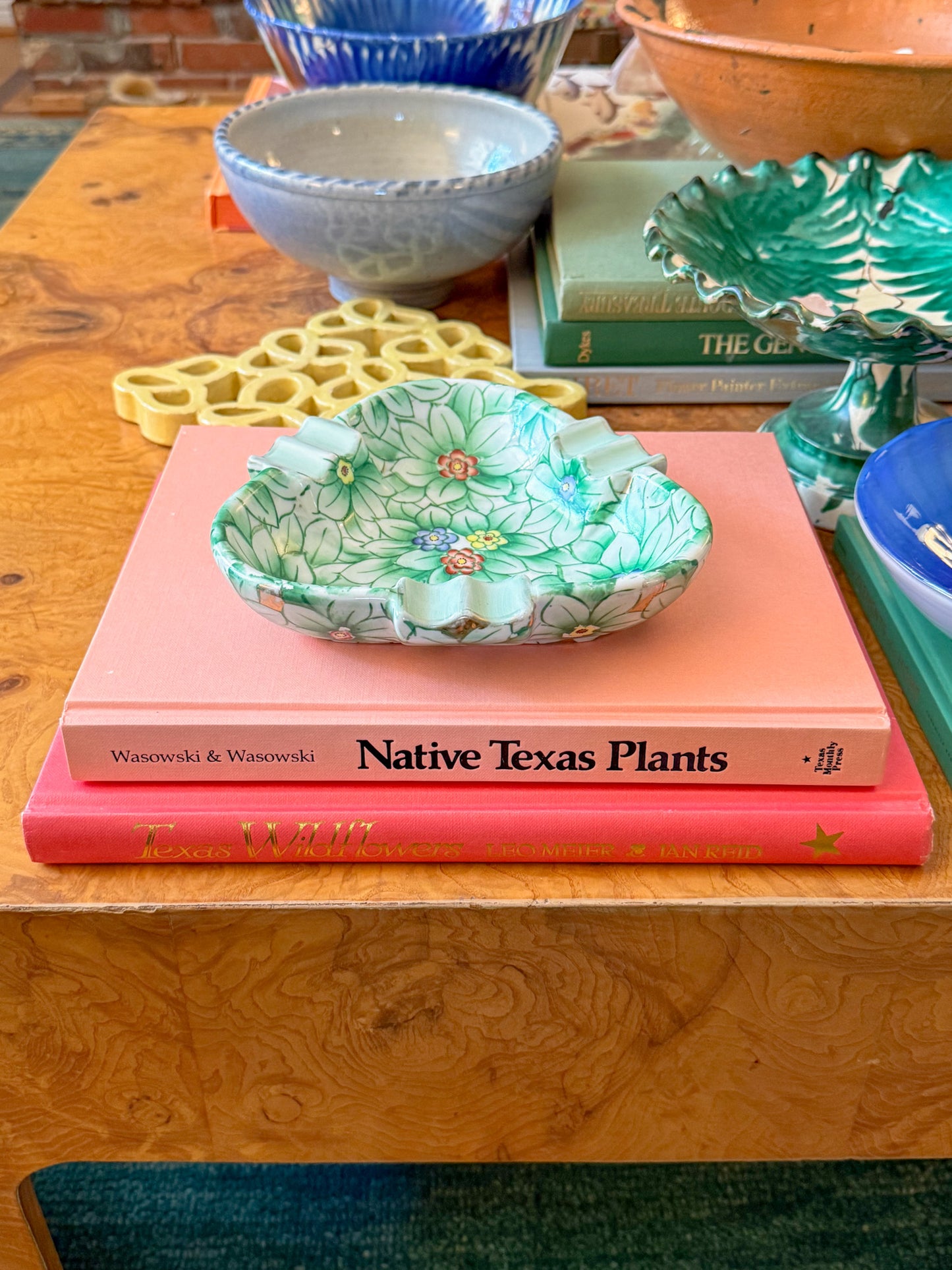 "Native Texas Plants" Peach Coffee Table Book