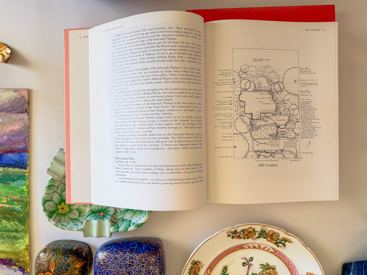 "Native Texas Plants" Peach Coffee Table Book