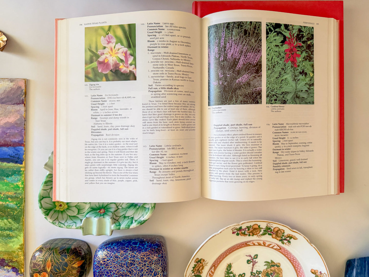 "Native Texas Plants" Peach Coffee Table Book
