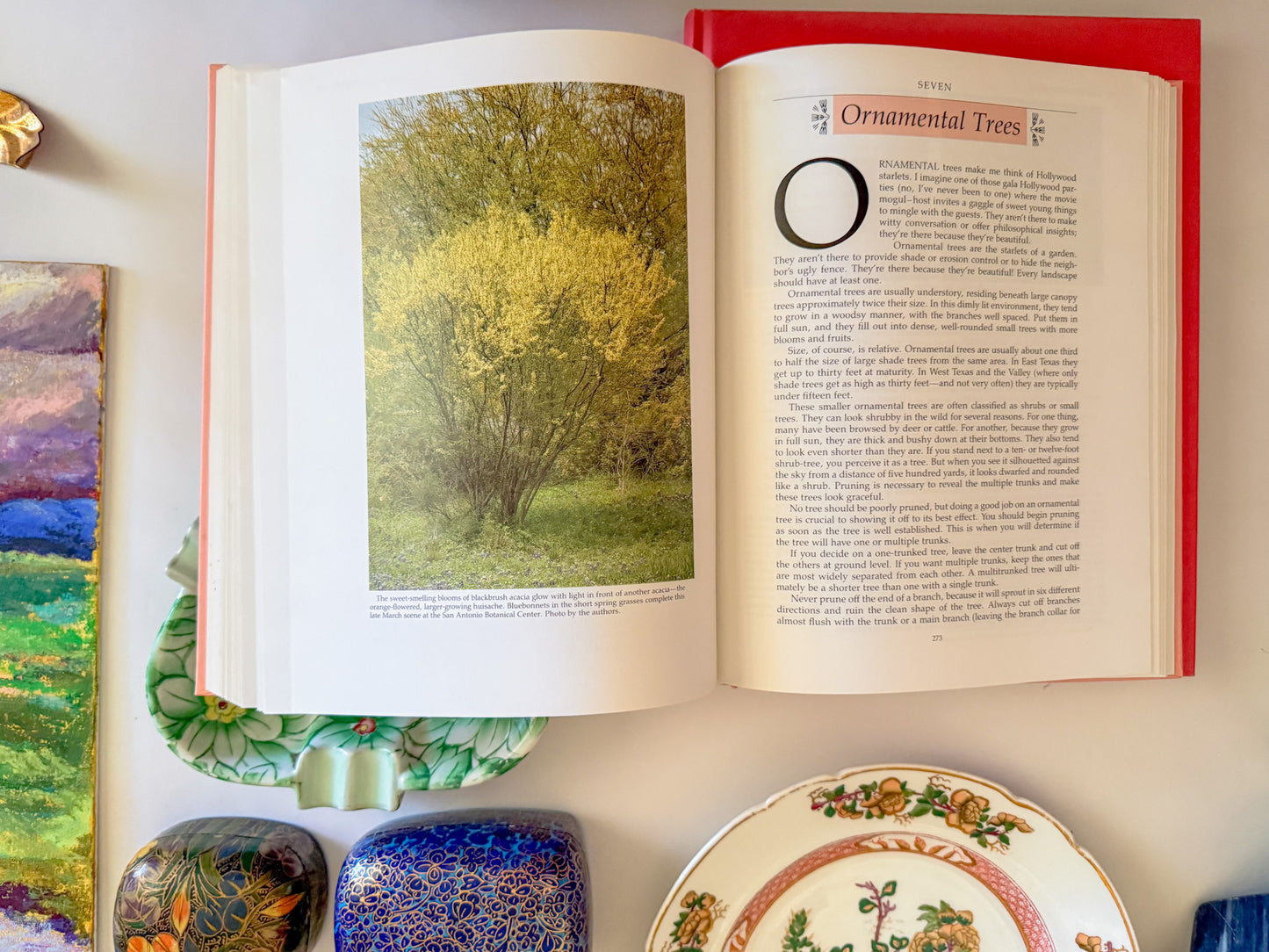 "Native Texas Plants" Peach Coffee Table Book