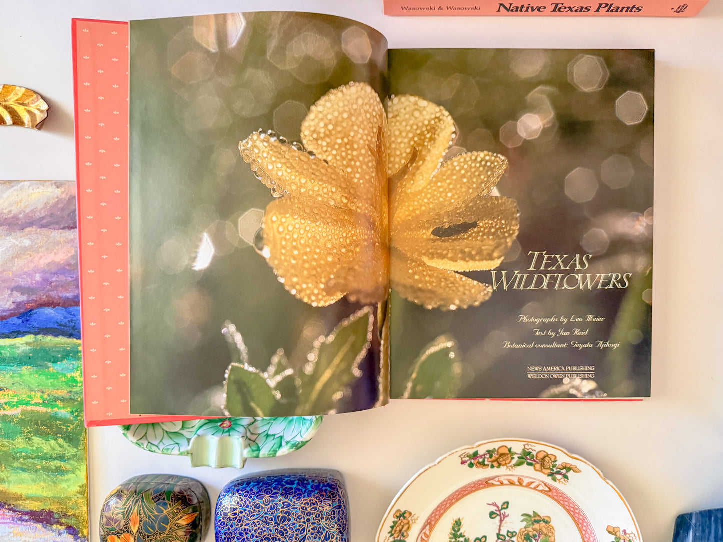 "Texas Wildflowers" Pink Coffee Table Book