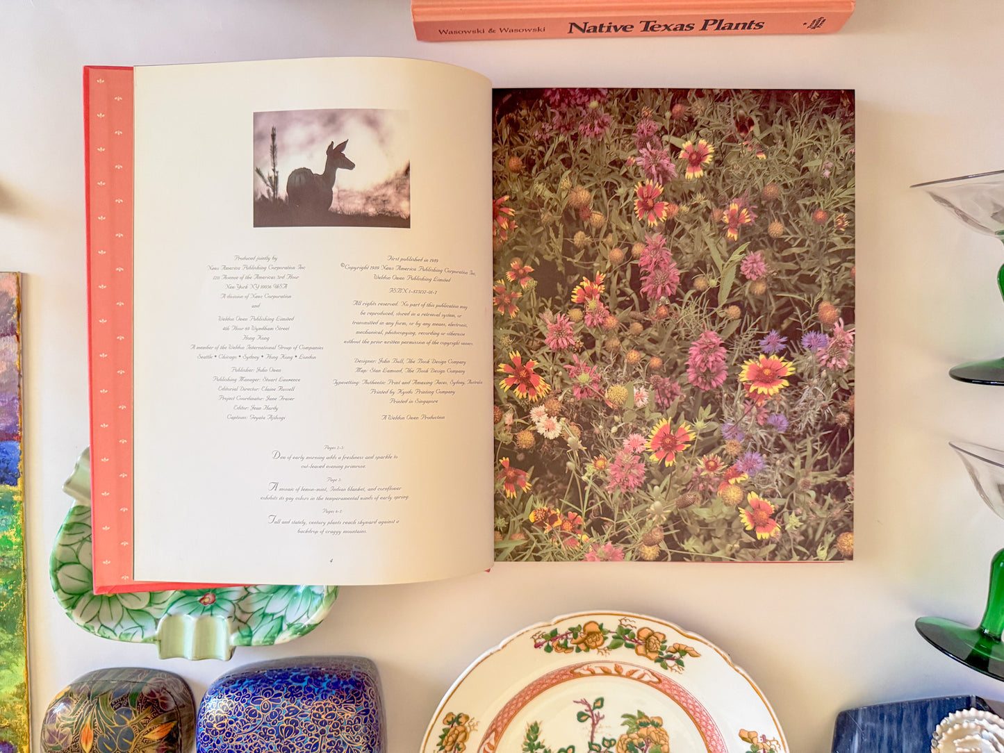 "Texas Wildflowers" Pink Coffee Table Book