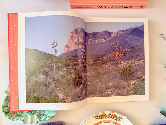 "Texas Wildflowers" Pink Coffee Table Book