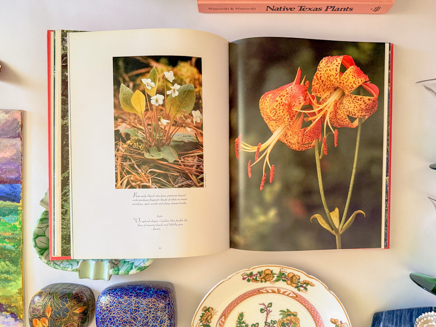 "Texas Wildflowers" Pink Coffee Table Book