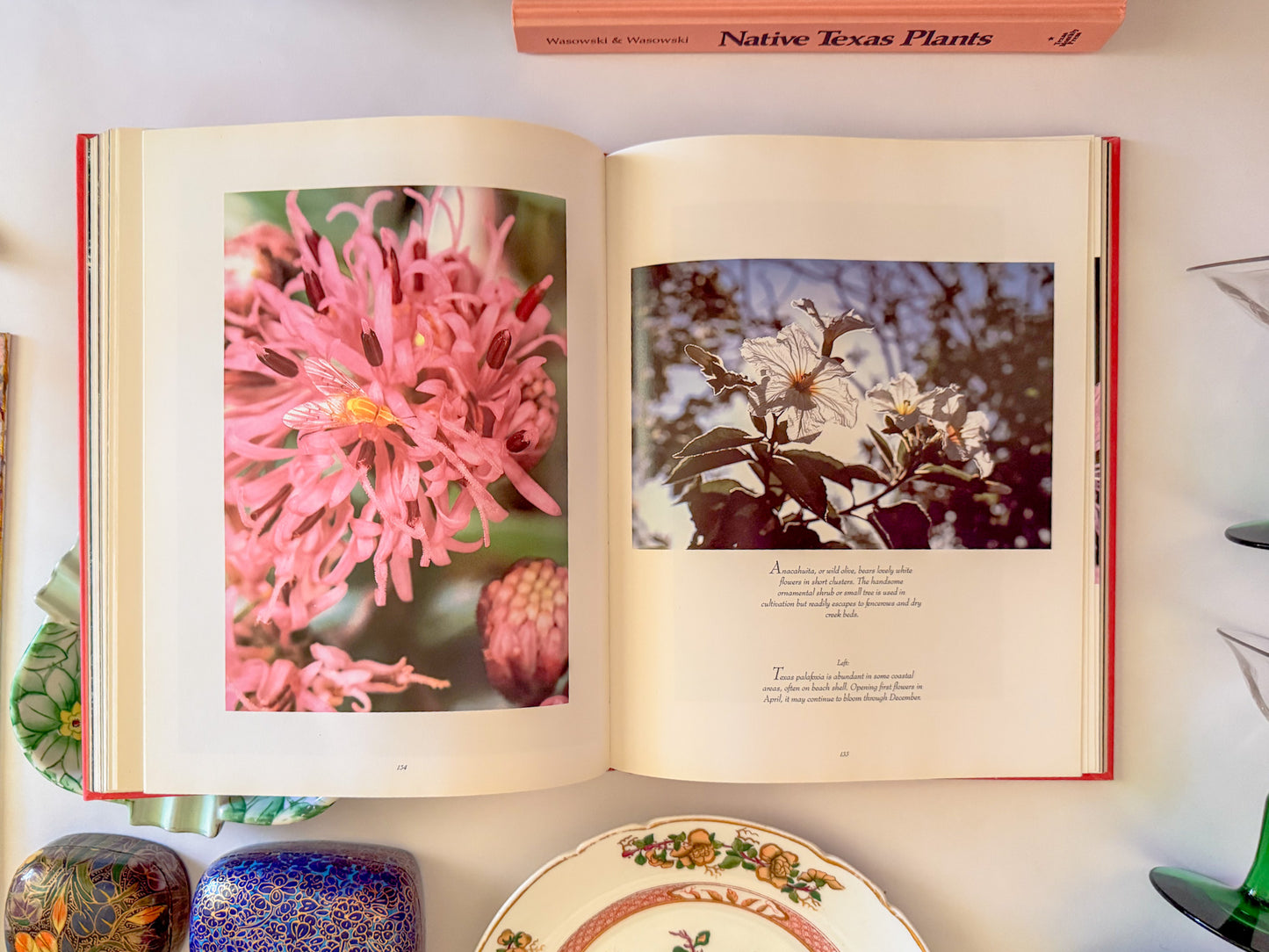"Texas Wildflowers" Pink Coffee Table Book